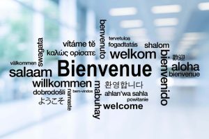 CARNETJAUNESOLUTION